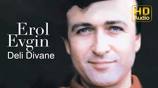 Erol Evgin  Deli Divane Official Audio [upl. by Hanna73]