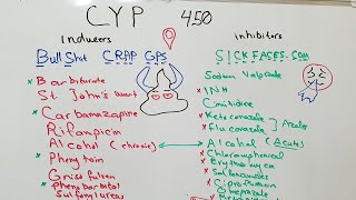 Liver enzymes inducers and inhibitors [upl. by Lyred]