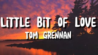 Tom Grennan  Little bit of love lyrics [upl. by Hurless]