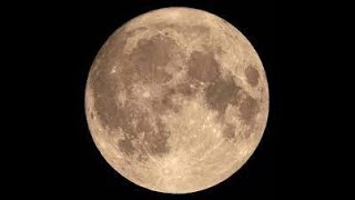 Themes of the Full Moon in Leo January 25 2024 and a Meditation for this Full Moon [upl. by Hgieloj235]