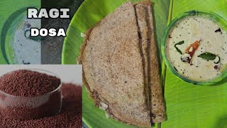 Ragi dosa reciperagi pindhi dosa in telugufoodsteetfoodindia [upl. by Ansell]