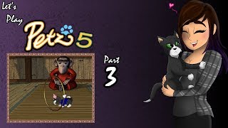 Minigame Madness  Part 3  Lets Play Petz 5 [upl. by Yerga]