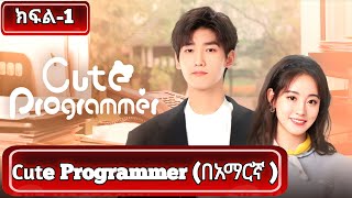 🔴 ክፍል1 Cute Programmer በአማርኛ  youngታሪክዝም  አጭርፊልም  ኢትዮkdrama [upl. by Ellen154]