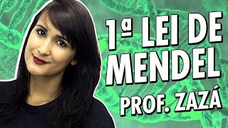 Genética para o Enem conceitos básicos e 1ª Lei de Mendel  Biologia  Prof Zazá [upl. by Janie]