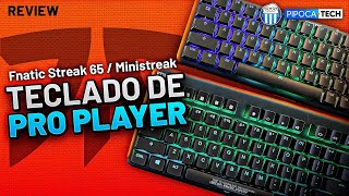 OS TECLADOS DA FNATIC SÃO REALMENTE BONS Unboxing do Fnatic Streak65 e Fnatic Ministreak [upl. by Ebocaj483]