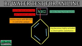 Bromine Water Test For Aniline  Reaction Of Aniline With Bromine Water [upl. by Nostets]