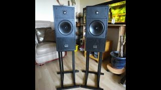 Epos ES 14 speaker review [upl. by Vedetta859]