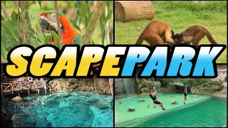 SCAPE PARK  Cap Cana  Dominican Republic 4k [upl. by Nalor728]