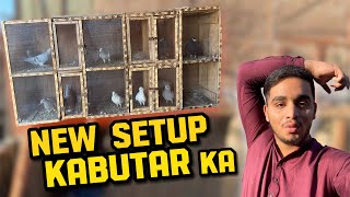 Aj Kabutar ka new setup dakh dia or Ayam cemani ma male or female ka difference bata dia [upl. by Prady]