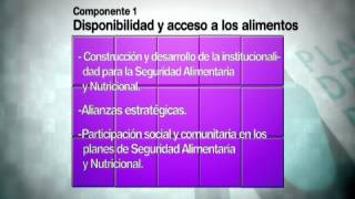 Plan Decenal de Salud Pública Seguridad alimentaria [upl. by Dexter]