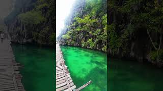 Pathway to KAYANGAN LAKE coron palawan  youtubeshorts philippineadventures videoshort [upl. by Hsiekal431]