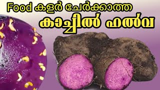 kachil halwa  കാച്ചിൽ ഹൽവ  രുചികരമായ വയലറ്റ് ഹൽവ  purple yam halwa  The Malayalam Vlogs [upl. by Argyres]