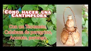 Como Hacer Cantimplora de Tecomate calabaza de peregrino Lagenaria Siceraria explicado desde cero [upl. by Annawik359]