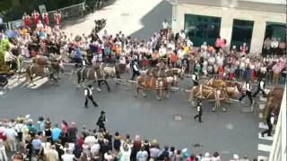 11er Pferdegespann beim Volksfestauszug am Gäubodenfest [upl. by Sutton]