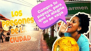 quotLos Cantos de la Calle Pregones Cubanosquotnenivlogs88 [upl. by Omora]