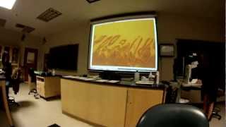 Histology Digestive System Review SLIDES [upl. by Ainocal261]