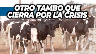 LA ARGENTINA QUE NO PROSPERA Otro tambo que cierra por la crisis [upl. by Almeta]