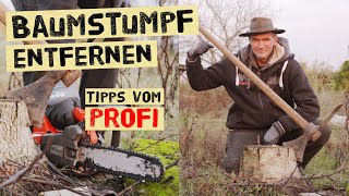 Baumstumpf richtig entfernen  Profitipps für deinen Garten Verschiedene Methoden erklärt [upl. by Dotti]