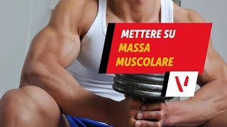 Mettere su massa muscolare [upl. by Cheadle]