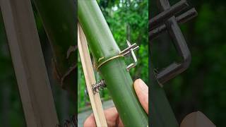 Bamboo creations with Simple Bamboo Idea Bamboo Diy Slingshots Bambooart [upl. by Maillil]