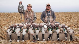 5 MAN LIMIT Duck and Goose Field Hunt Bonus Specklebelly Goose [upl. by Junette]