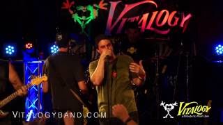 Vitalogy a tribute to Pearl Jam promo video [upl. by Eecyal]