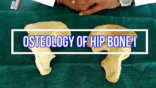 Top 4 Exercises You Absolutely Should Start Now For Bone On Bone Hip Arthritis [upl. by Lorola]