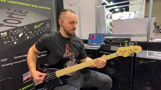 Bergantino Forte HP amp Sandberg Electra VS4 Demo  Zoviet quotDame Masquot Bass Playthrough [upl. by Ecad410]