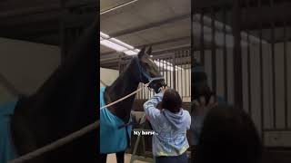 difference between others and my horse🥲 horse equestrian crazy [upl. by Alian539]