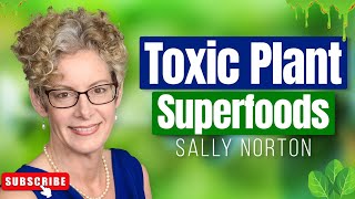 Lectins Have NOTHING On Oxalates  Oxalate Poisoning and Dumping With Sally Norton [upl. by Nohshan48]