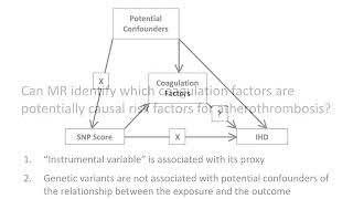 Coagulation Factors and the Risk of Ischemic Heart Disease [upl. by Innavoig538]