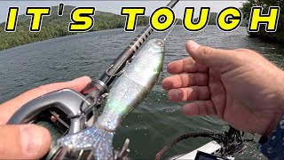 The TRUTH About Bass Fishing The Fall Transition [upl. by Brubaker557]