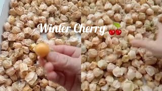 Magic winter cherry🍒 Sweet sweet cherries☺️ Reverse ASMR [upl. by Karlee755]