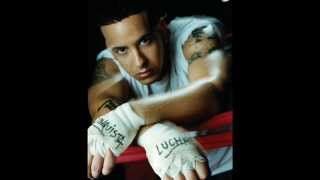 Daddy Yankee Mix Tiraera [upl. by Gnak598]