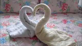 Cisne de Toalha  DIY [upl. by Negaem200]