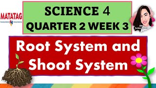 SCIENCE 4 QUARTER 2 WEEK 3 ROOT AND SHOOT SYSTEMS MATATAG CURRICULUM science4quarter2week3 [upl. by Nelleoj]