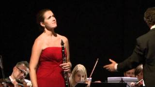 Gabriel´s Oboe clarinet version Ennio Morricone [upl. by Herb69]