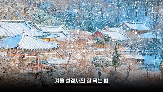 겨울 설경사진 잘 찍는 법  박성욱 작가 [upl. by Yasu]