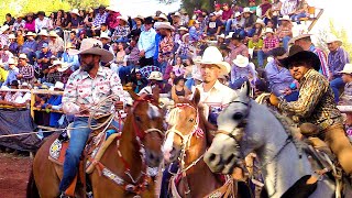 TABARIN HERNANDEZ CHAGO DIAZ EL PAJARO JARIPEO DE TOROS BRAVOS BUSCA CABALLOS SAN MARTIN MICH 2024 [upl. by Omocaig]