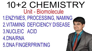 102 Chemistry ncert Biomolecule enzymes vitamins nucleic acid dna vs rna dna fingerprinting [upl. by Gebelein]