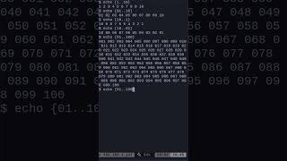 02 Linux Shell Counting with Brace Expansions [upl. by Nilpik]