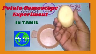 Potato Osmoscope experiment  Potato Osmosis  உருளைக்கிழங்கு ஆஸ்மாஸ்கோப் TAMIL AND ENGLISH  V  P [upl. by Marybelle]