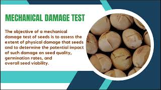 MECHANICAL DAMAGE ASSESMENT malachite green test DrSKavitha tnau coimbatore [upl. by Aniuqal858]