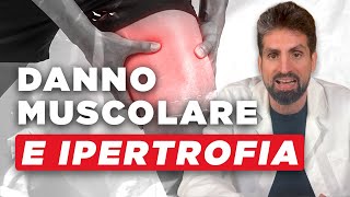 Danno muscolare ed ipertrofia cosa devi sapere [upl. by Zil47]