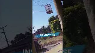 TIZIU CANTANDO MUITO MELHOR VÍDEO [upl. by Odirfliw]