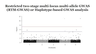 Haplotypebased GWAS analysis using rtmgwas software A quick GWAS tutorial [upl. by Akapol]