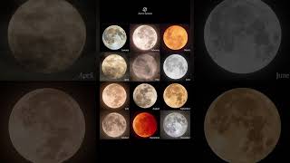 The 12 Full Moons of 2022 🌕 Captured Each and Every Month  moon space universe [upl. by Ainocal82]