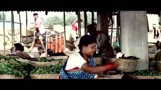 Mutamestri movie video songs Telugu HD rip [upl. by Aitercul]