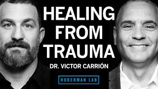 Dr Victor Carrión How to Heal From PostTraumatic Stress Disorder PTSD [upl. by Mloc]