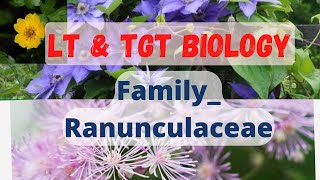 FamilyRanunculaceae LT grade biology TGT bio [upl. by Earized660]